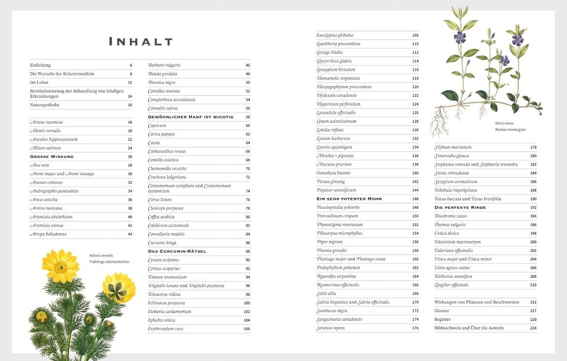 Beispielinhalt (Bild) Die heilende Kraft der Kräuter