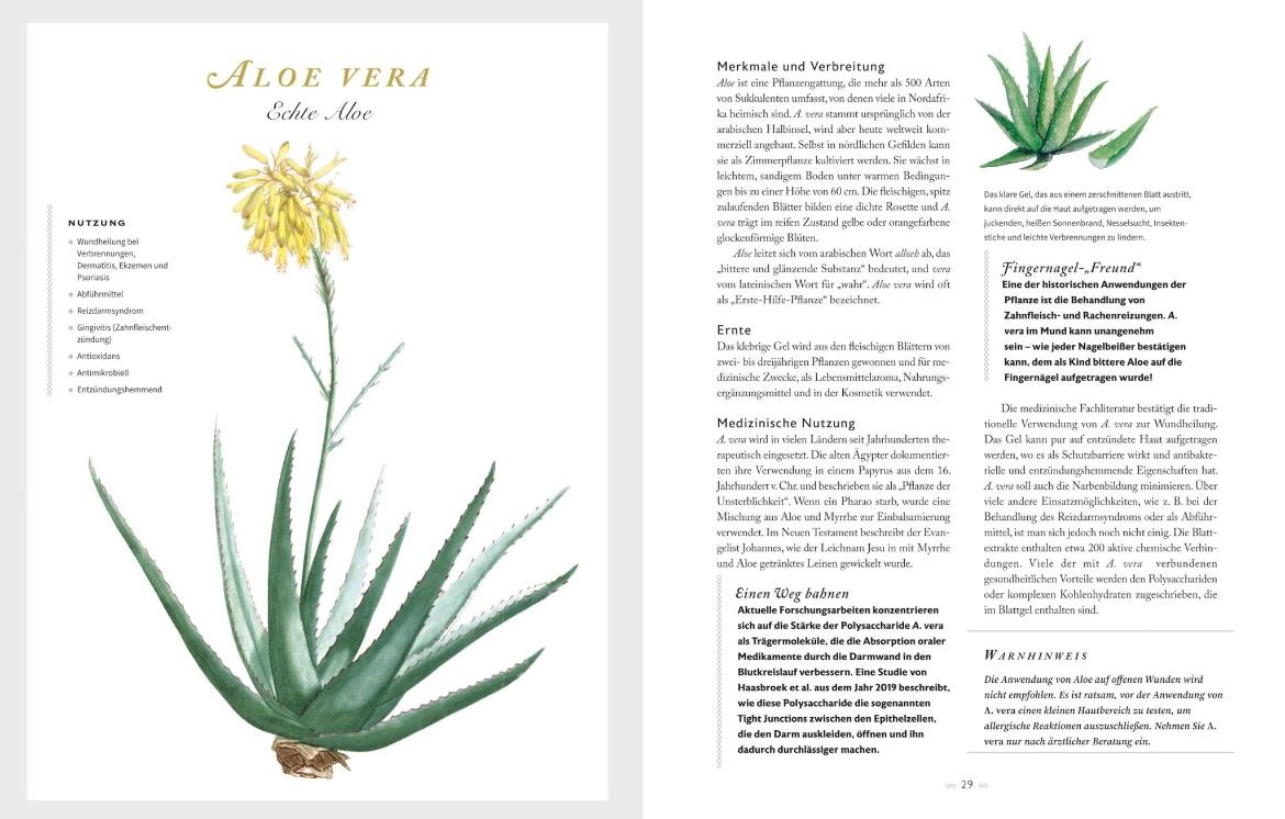 Beispielinhalt (Bild) Die heilende Kraft der Kräuter
