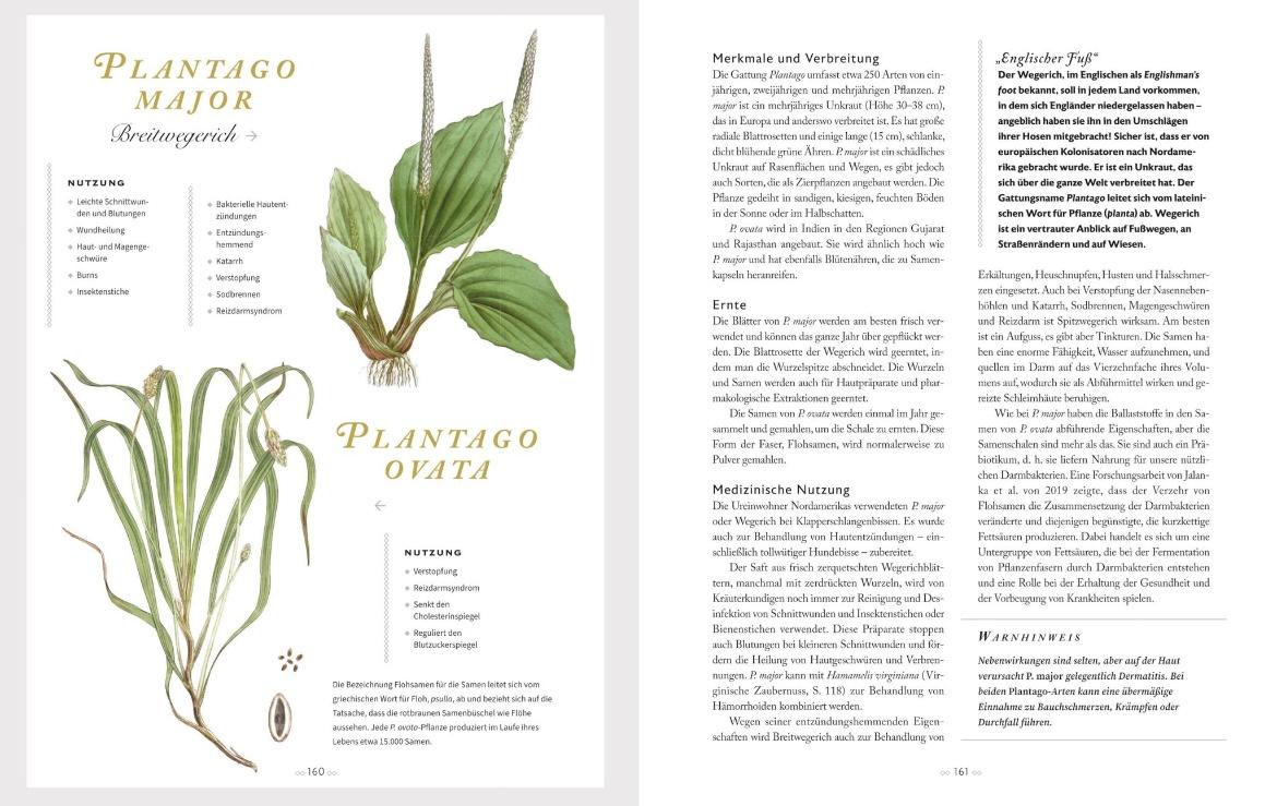 Beispielinhalt (Bild) Die heilende Kraft der Kräuter