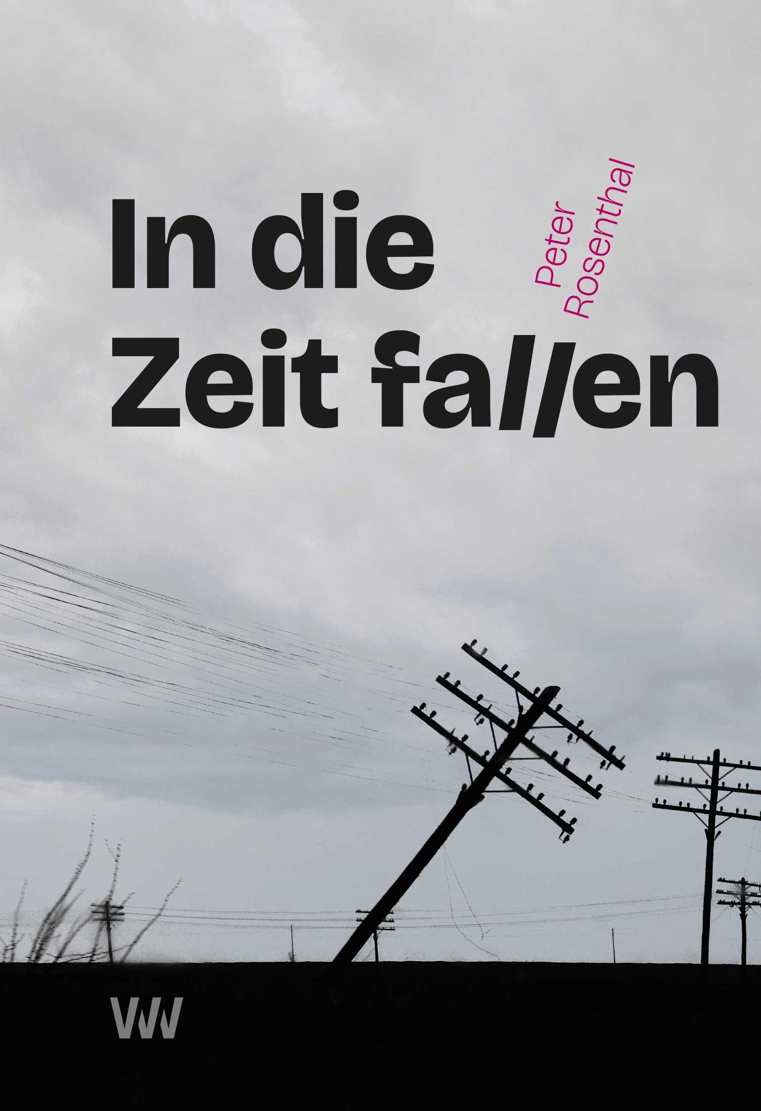Vorderes Coverbild In die Zeit fallen
