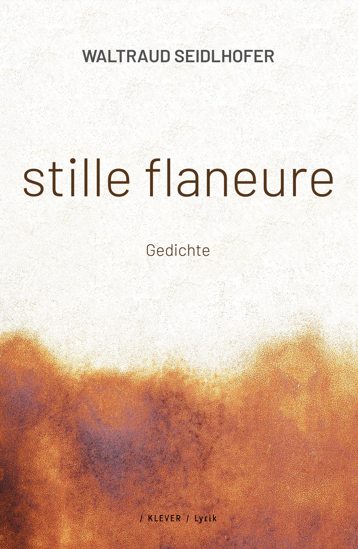 Vorderes Coverbild stille flaneure