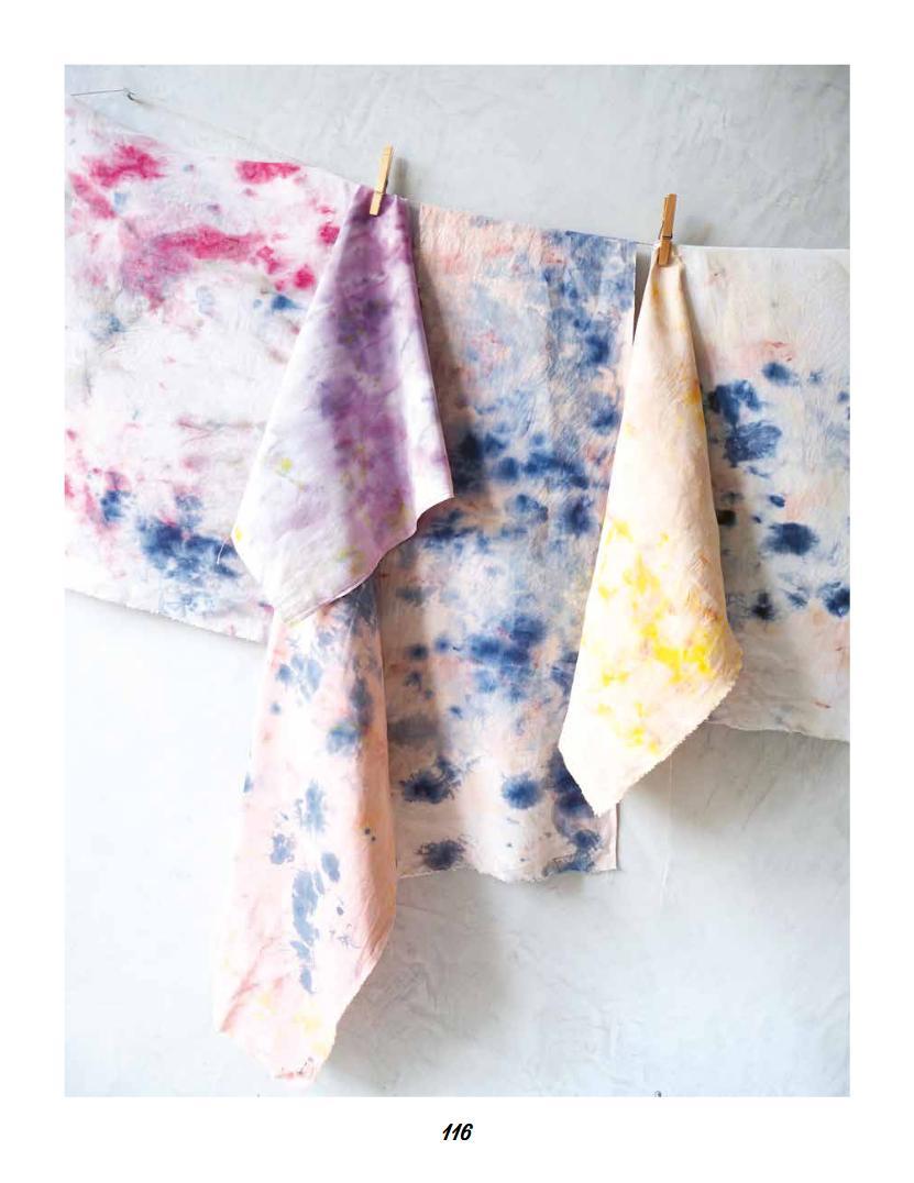 Beispielinhalt (Bild) Farbenfroh färben mit Pflanzen - leicht gemacht