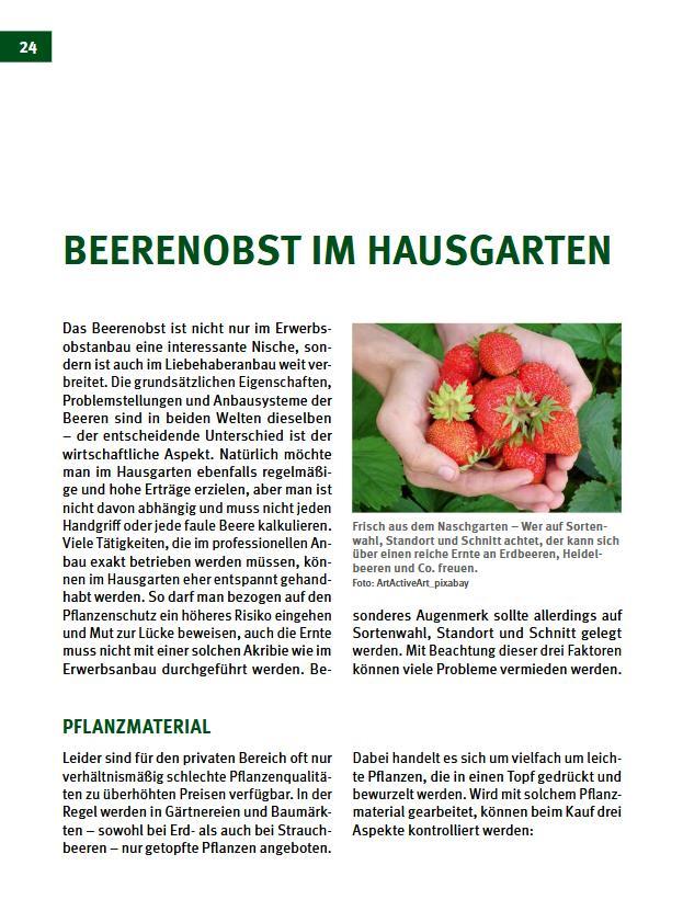 Beispielinhalt (Bild) Beerenobst