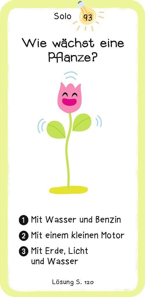 Beispielinhalt (Bild) Das Wie-Quiz