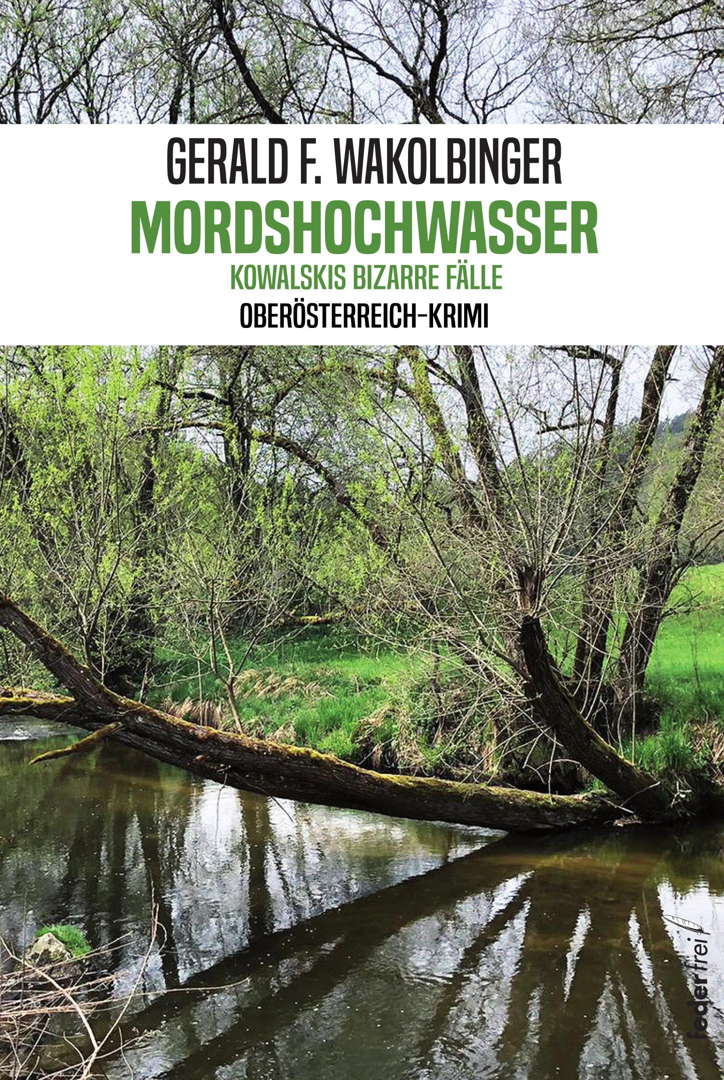 Vorderes Coverbild Mordshochwasser