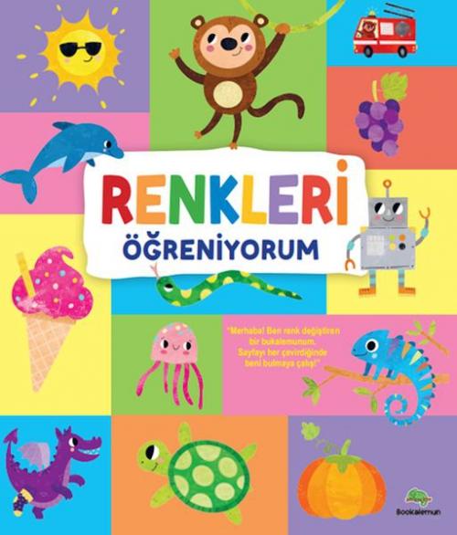 Vorderes Coverbild Renkleri Ögreniyorum