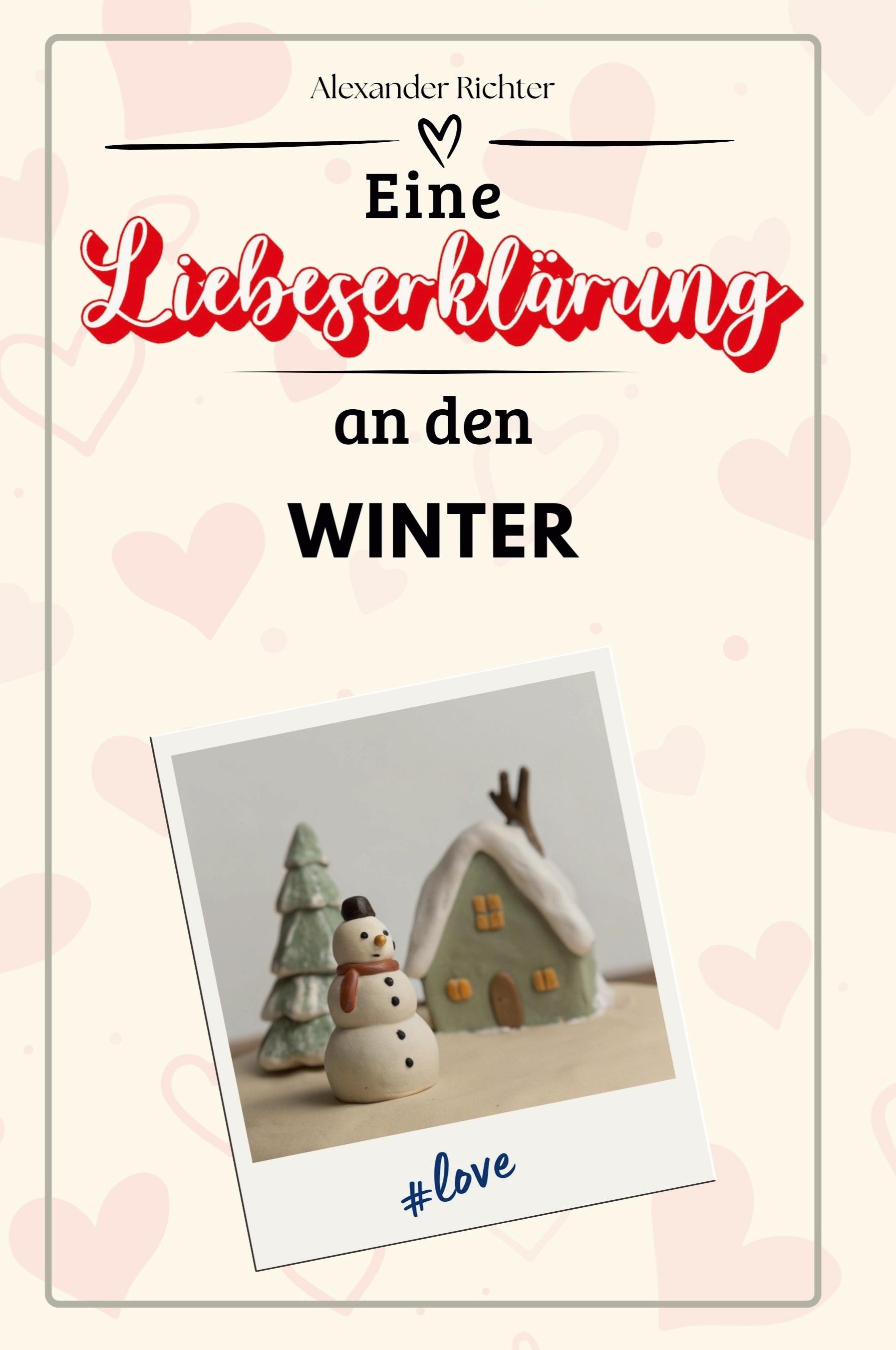 Vorderes Coverbild Eine Liebeserklärung an den Winter