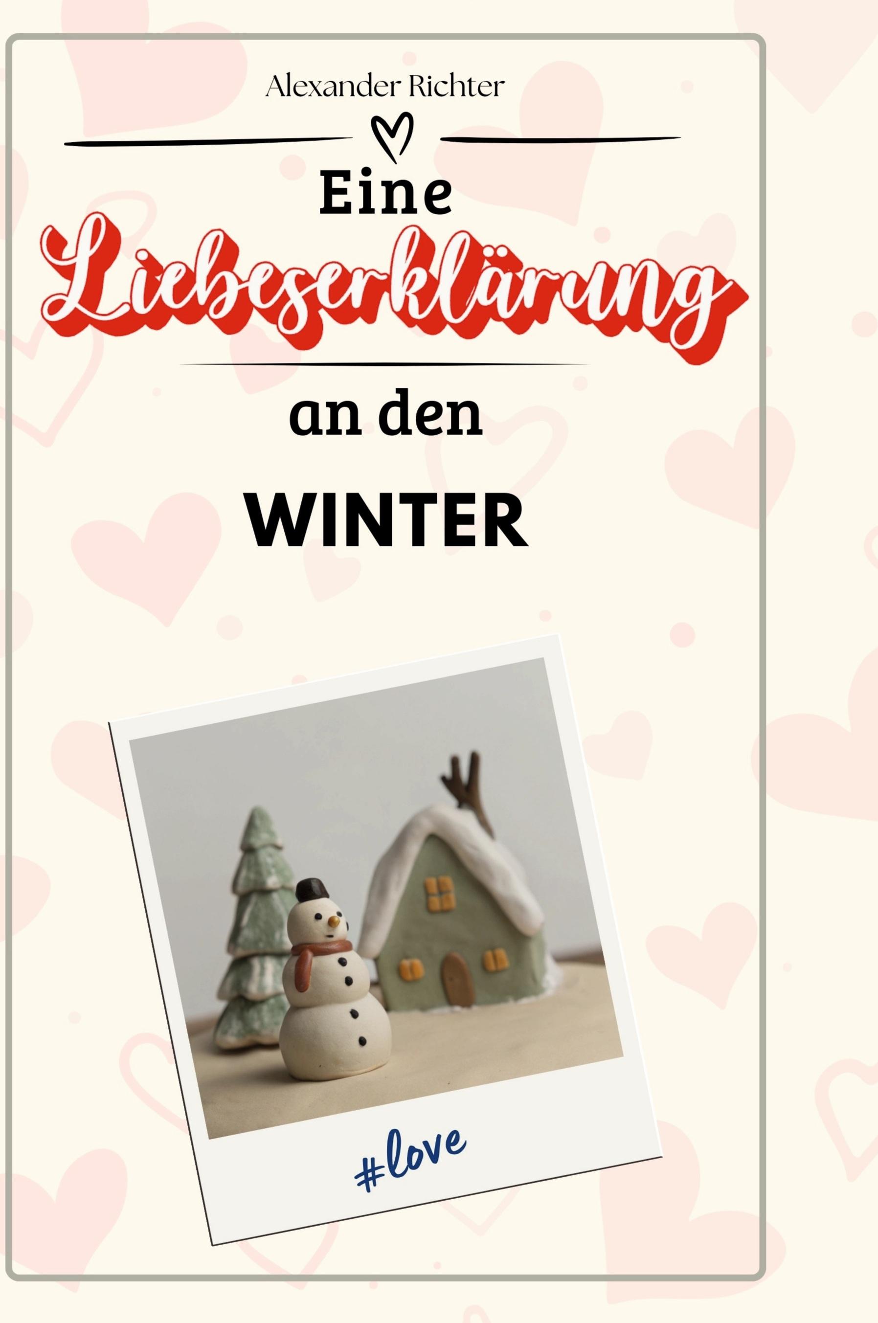 Vorderes Coverbild Eine Liebeserklärung an den Winter