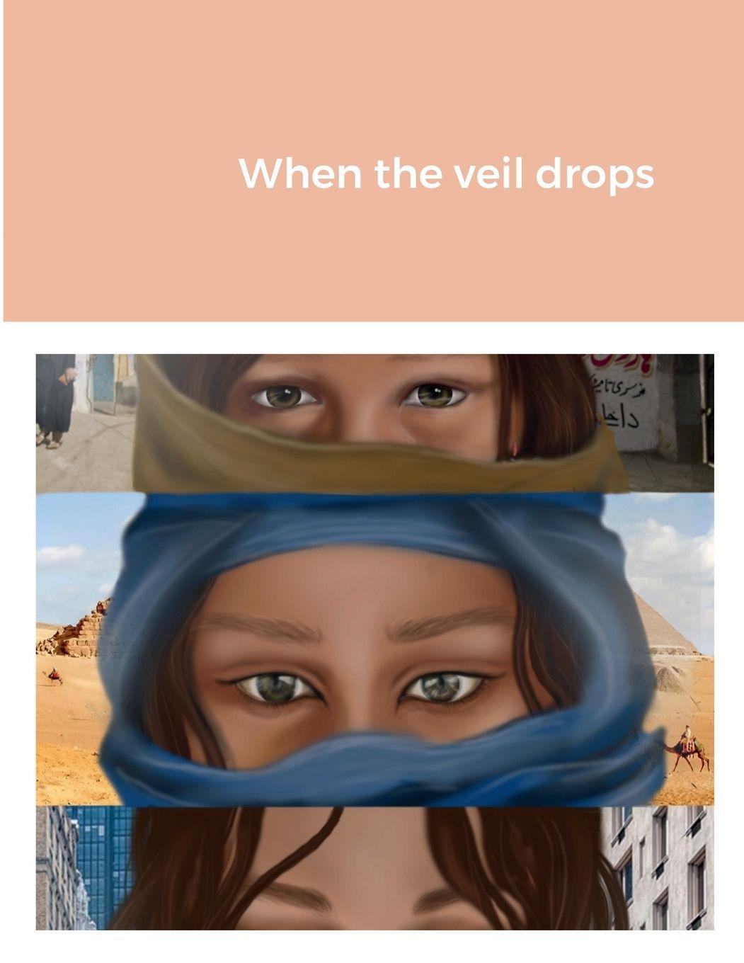 Vorderes Coverbild When the veil drops