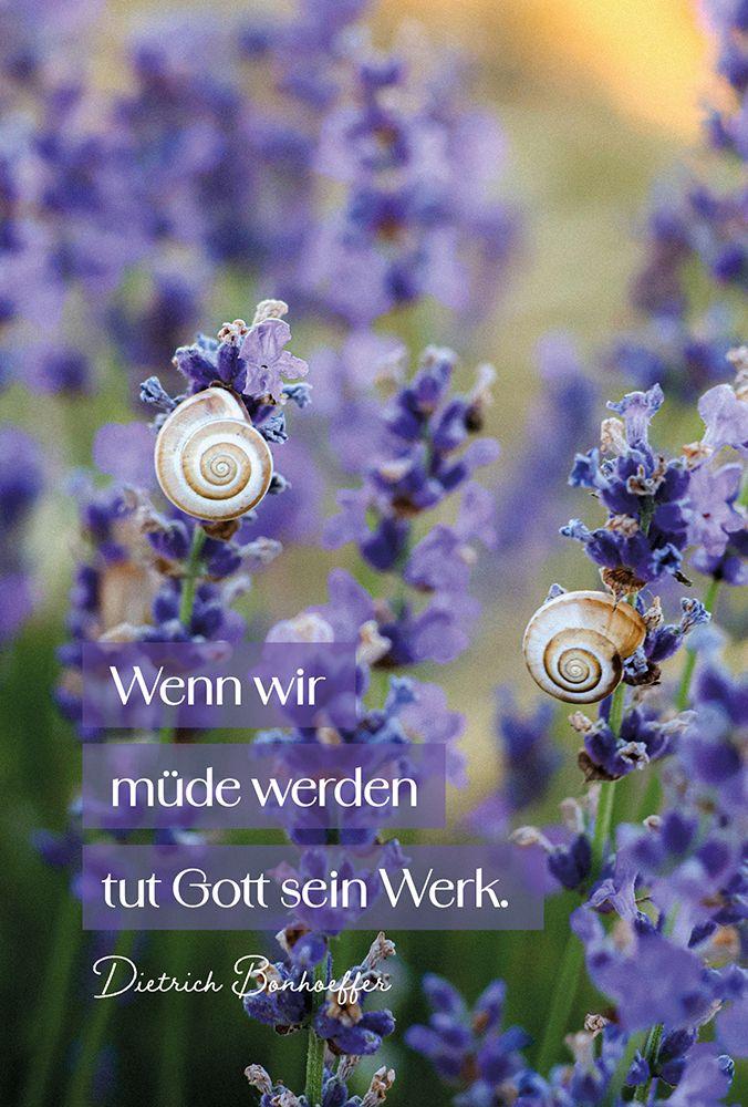 Beispielinhalt (Bild) Behütet und getröstet - Aufstellbuch