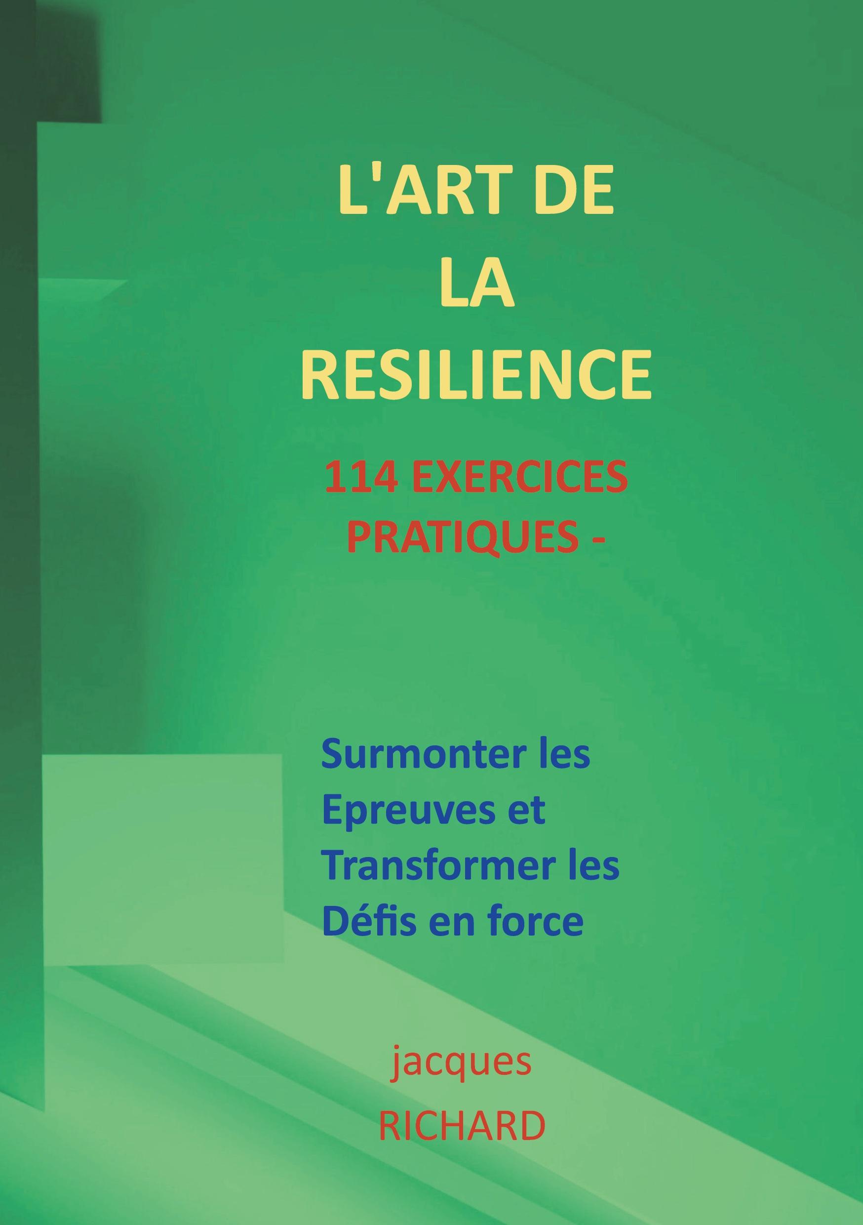 Vorderes Coverbild L'art de la resilience - 114 exercices pratiques