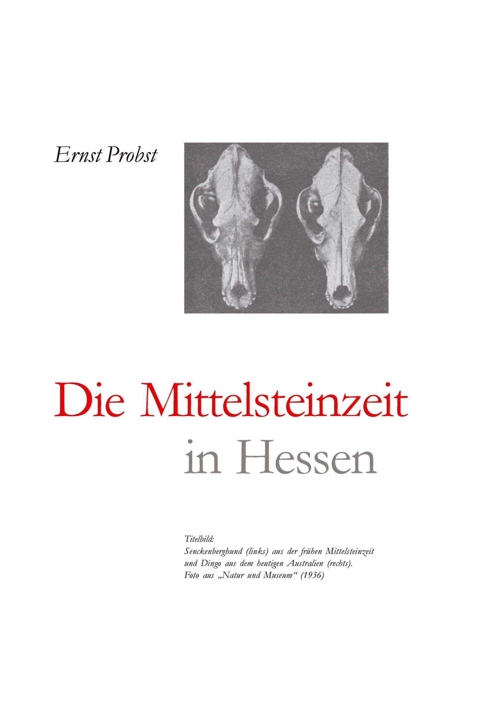 Vorderes Coverbild Hessen in der Mittelsteinzeit