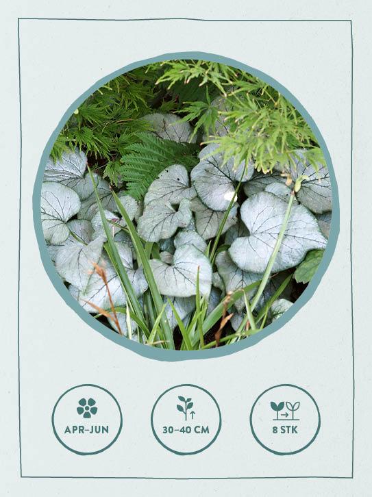 Beispielinhalt (Bild) Kartenset: Keine Zeit zu gärtnern - 64 Karten - Einfach und schnell zum Blumengarten