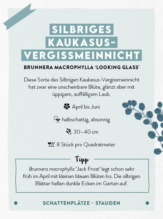 Beispielinhalt (Bild) Kartenset: Keine Zeit zu gärtnern - 64 Karten - Einfach und schnell zum Blumengarten