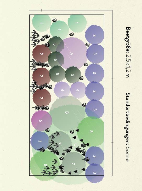 Beispielinhalt (Bild) Kartenset: Keine Zeit zu gärtnern - 64 Karten - Einfach und schnell zum Blumengarten