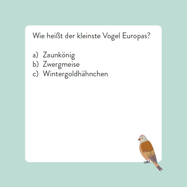 Beispielinhalt (Bild) Das Vogel-Quiz