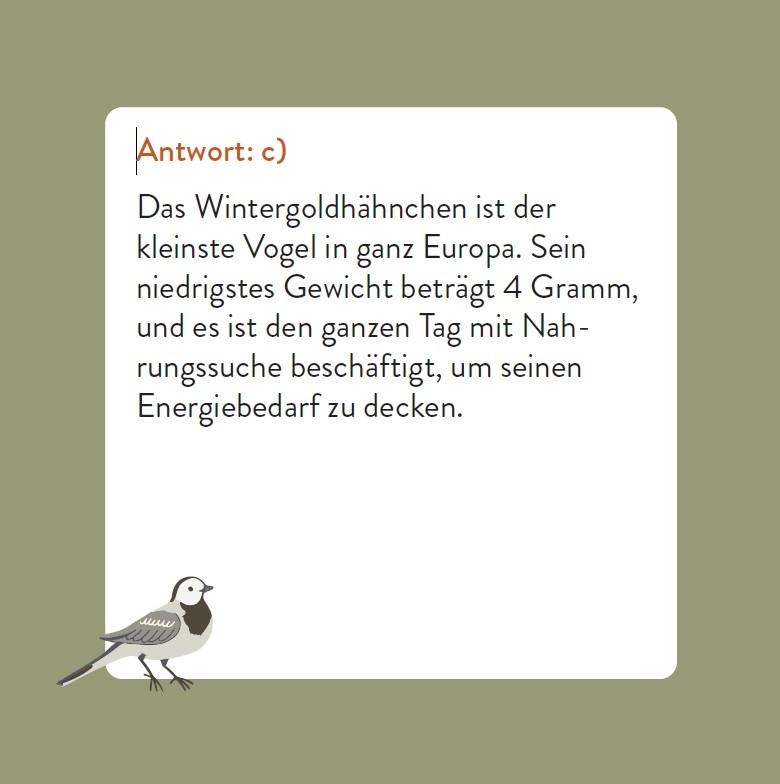 Beispielinhalt (Bild) Das Vogel-Quiz