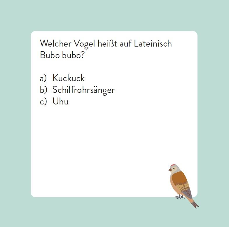 Beispielinhalt (Bild) Das Vogel-Quiz