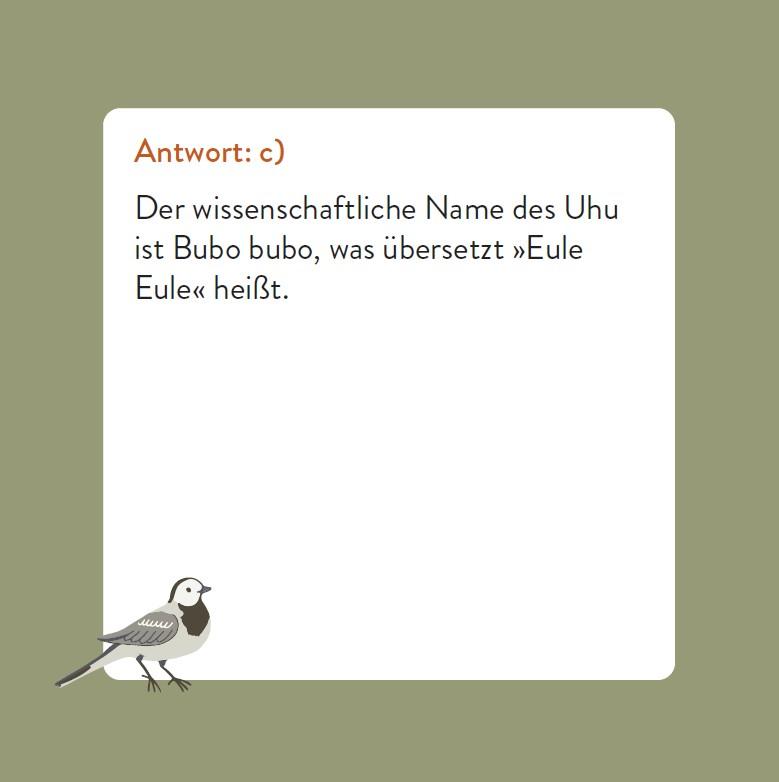 Beispielinhalt (Bild) Das Vogel-Quiz