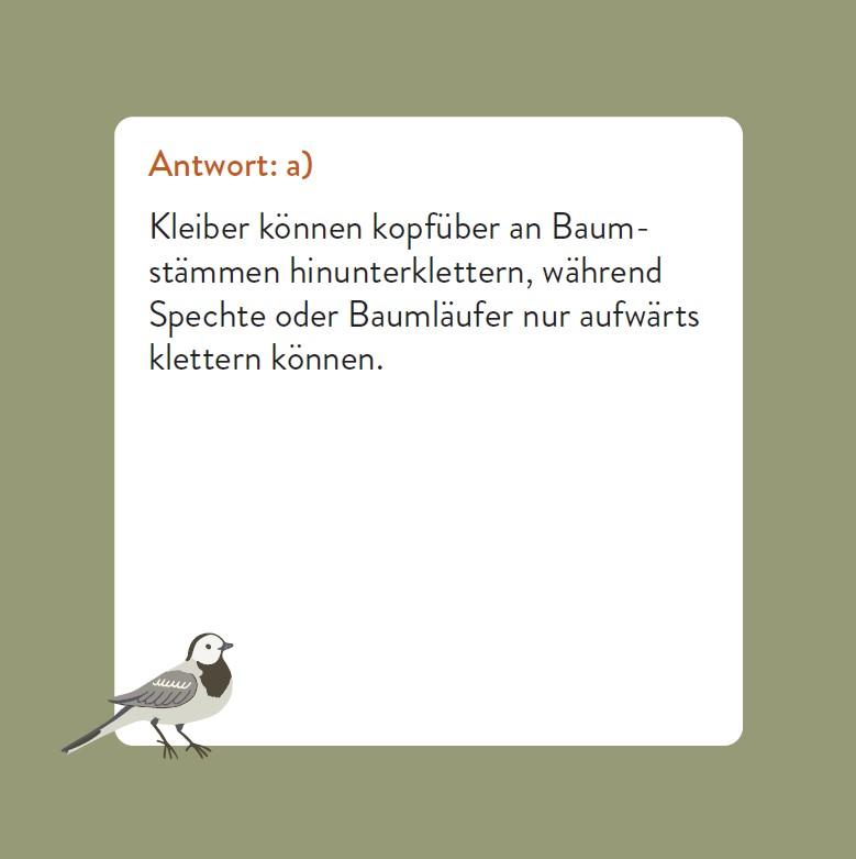 Beispielinhalt (Bild) Das Vogel-Quiz