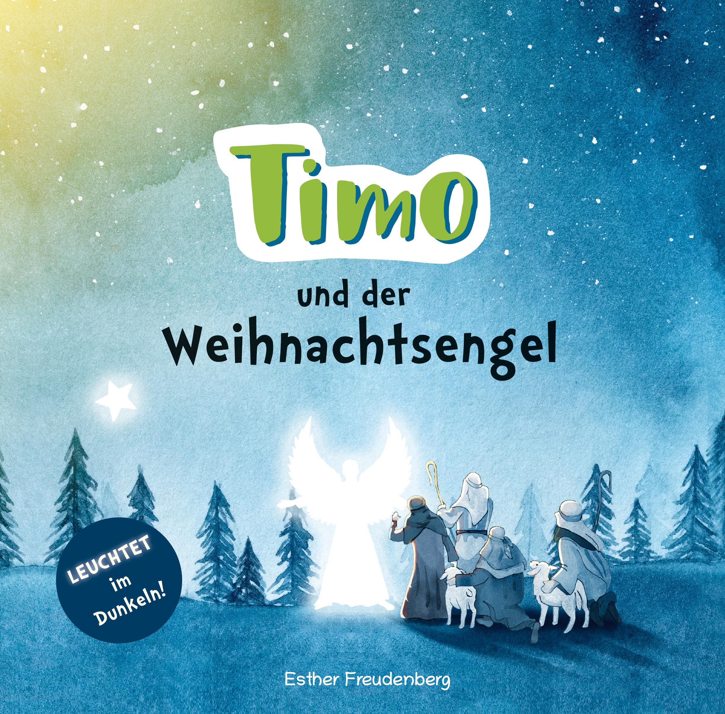 Vorderes Coverbild Timo und der Weihnachtsengel