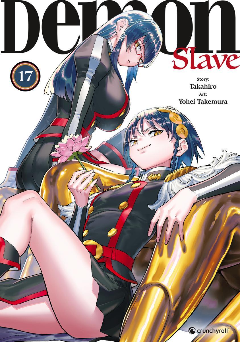 Vorderes Coverbild Demon Slave - Band 17
