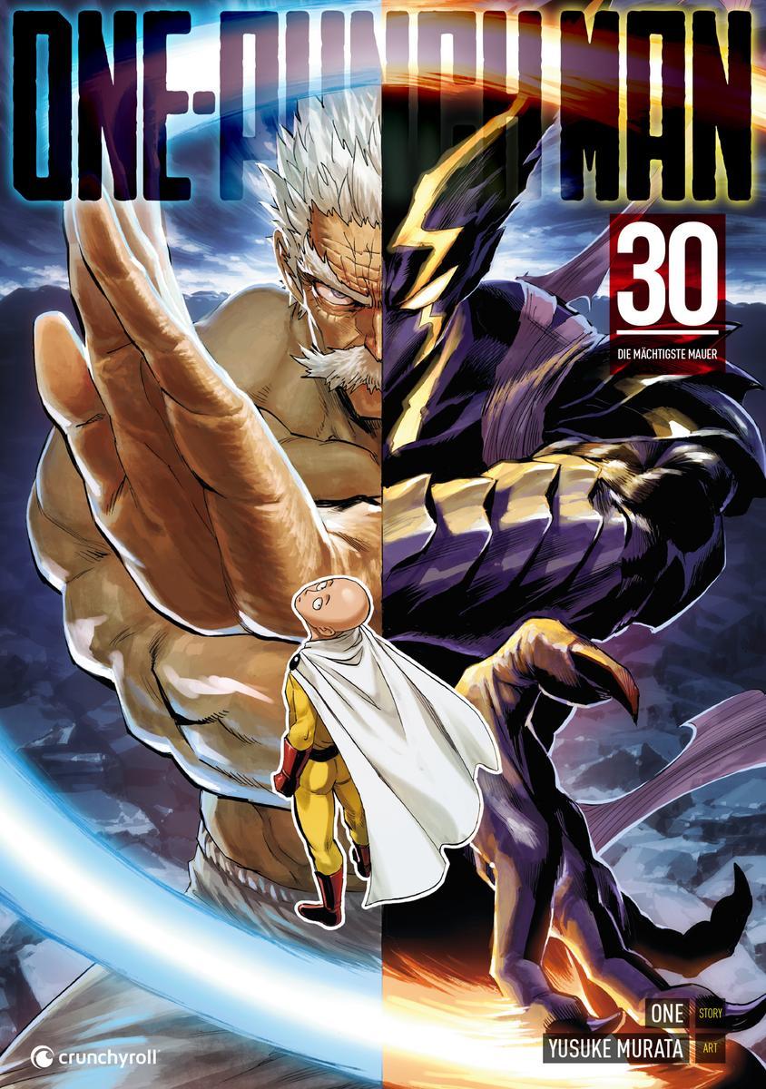 Vorderes Coverbild ONE-PUNCH MAN - Band 30