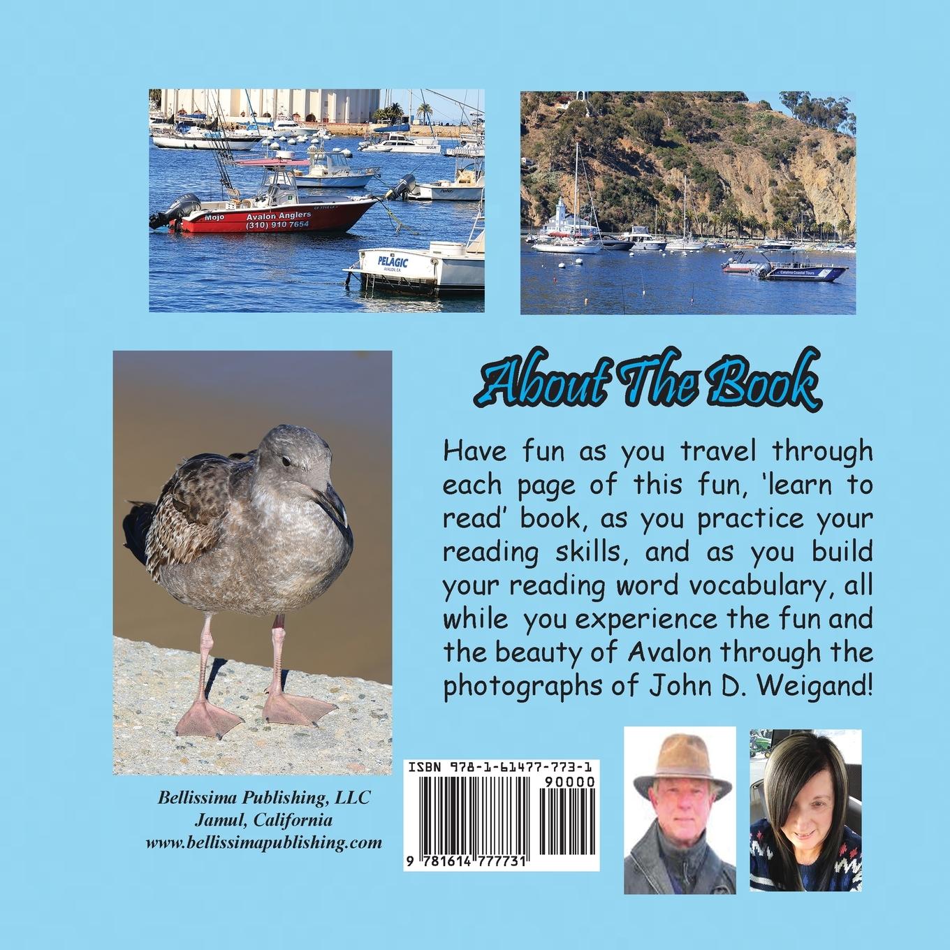 Rückseitencover In The Sun! A Kid's Guide To Avalon