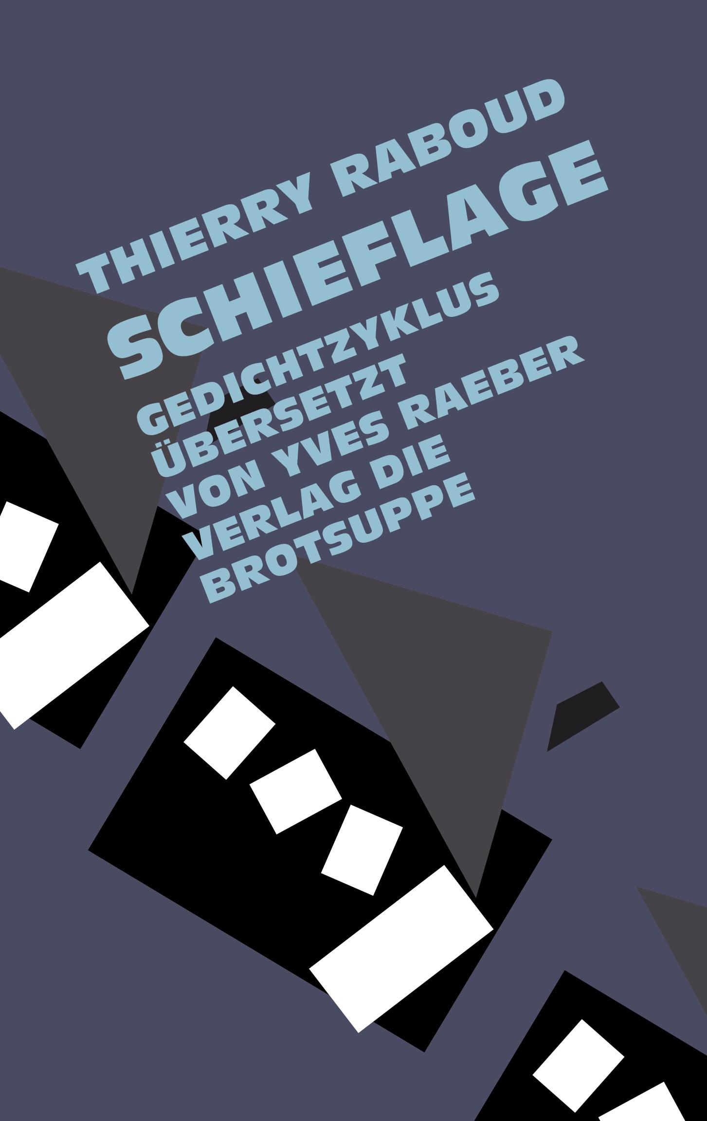 Vorderes Coverbild Schieflage