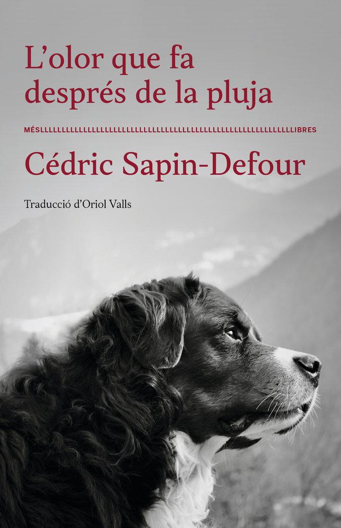Vorderes Coverbild L'olor que fa després de la pluja