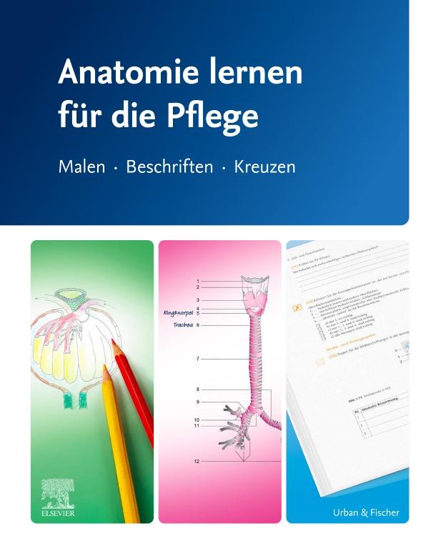 Vorderes Coverbild Anatomie lernen für die Pflege