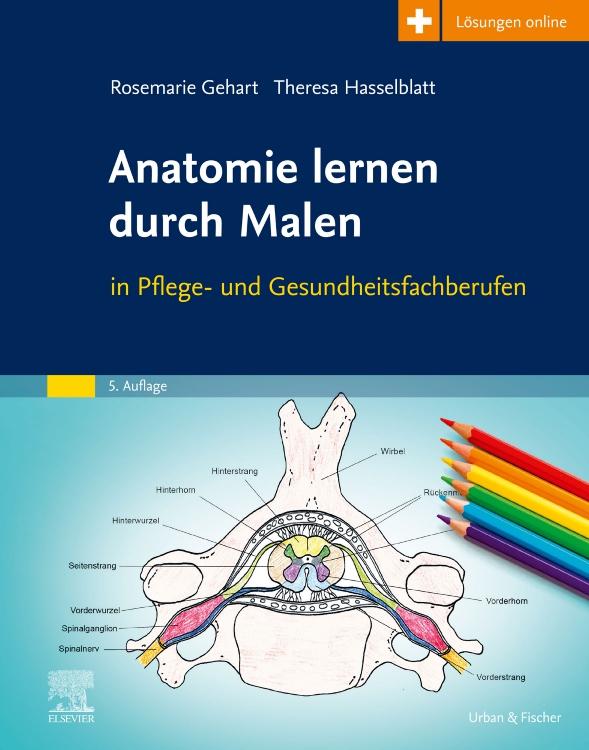 Vorderes Coverbild Anatomie lernen durch Malen