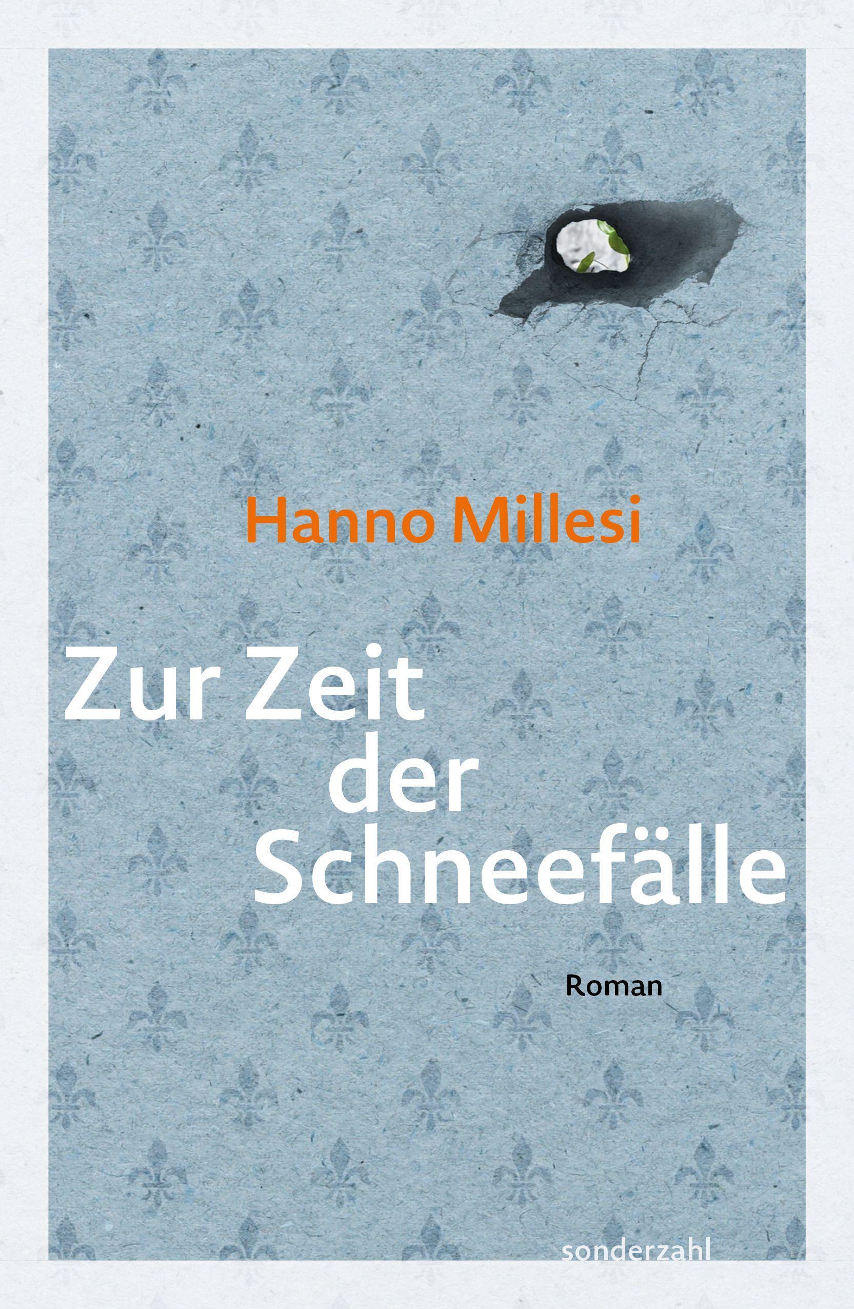 Vorderes Coverbild Zur Zeit der Schneefälle