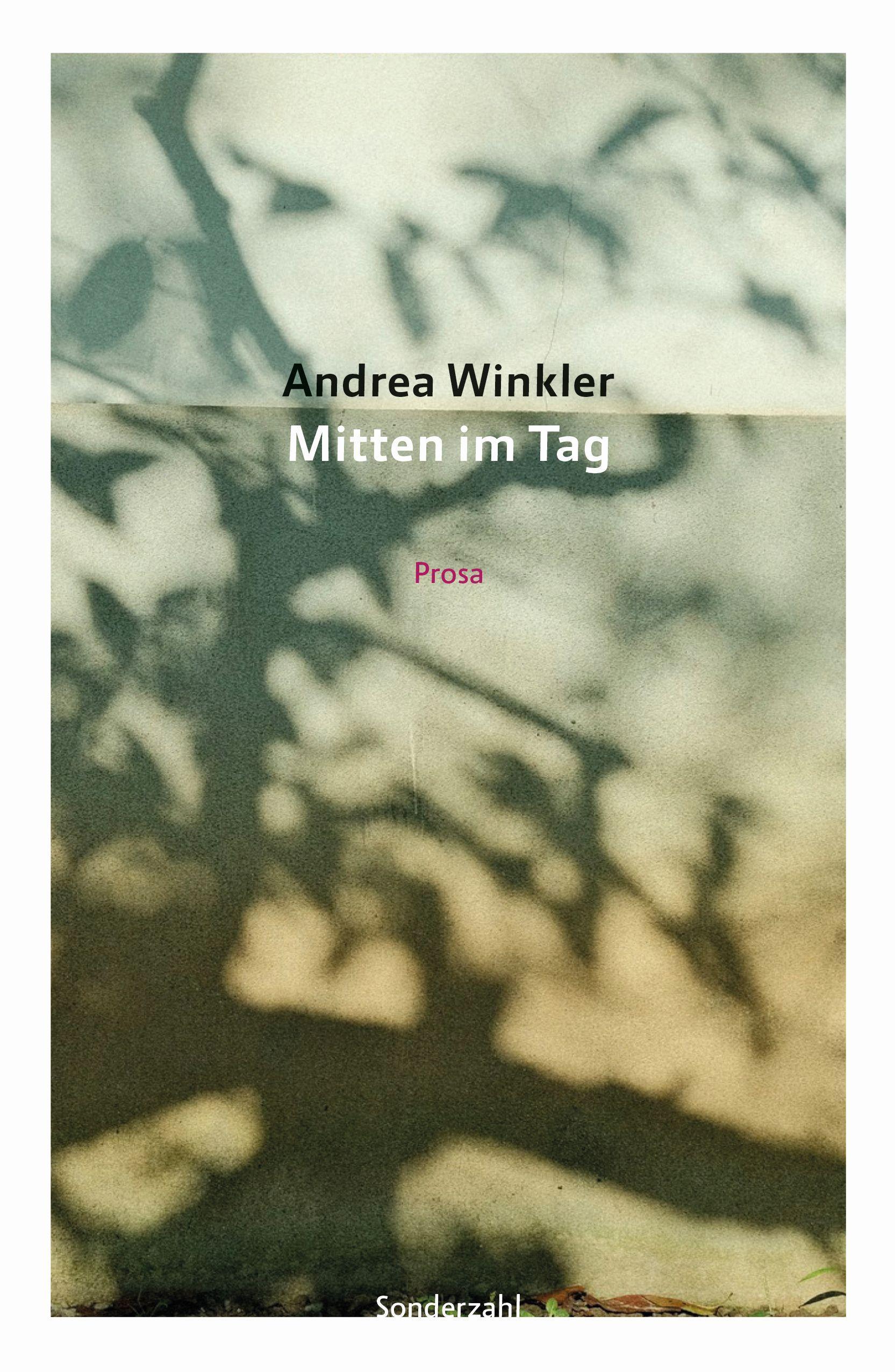 Vorderes Coverbild Mitten im Tag