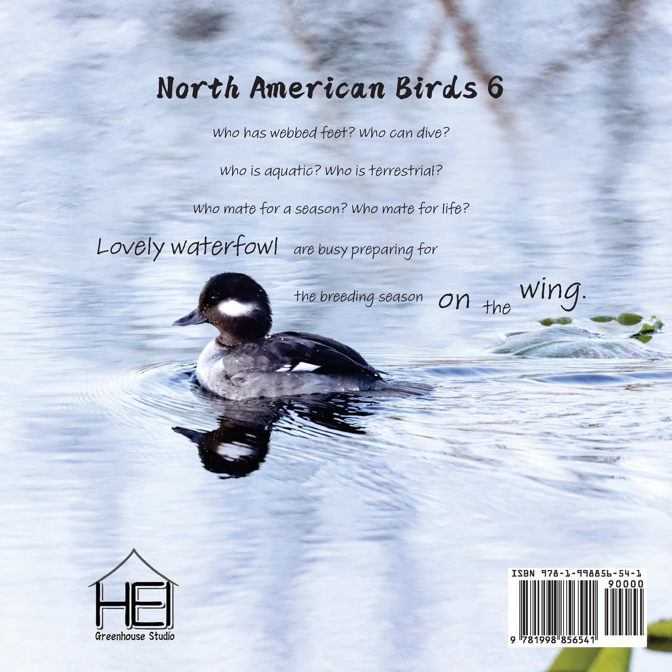 Rückseitencover On the Wing - North American Birds 6