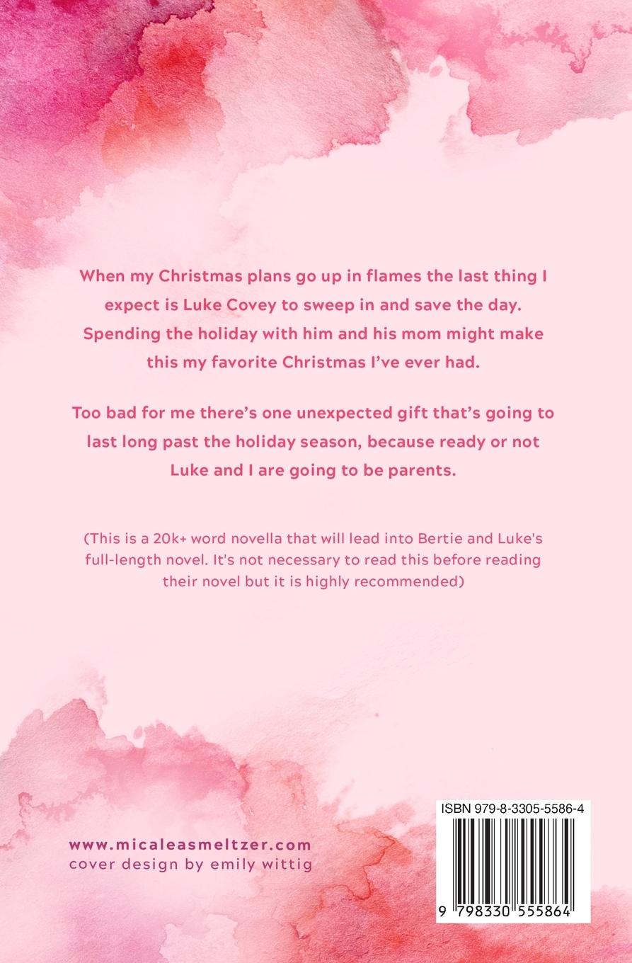 Rückseitencover Sweet Boys Love Christmas