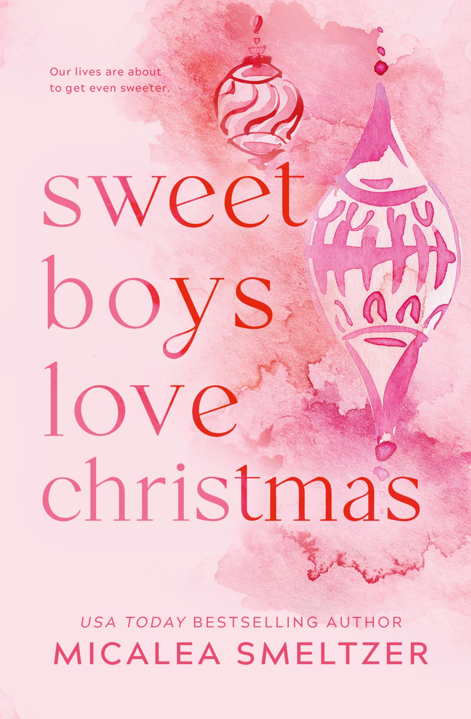 Vorderes Coverbild Sweet Boys Love Christmas