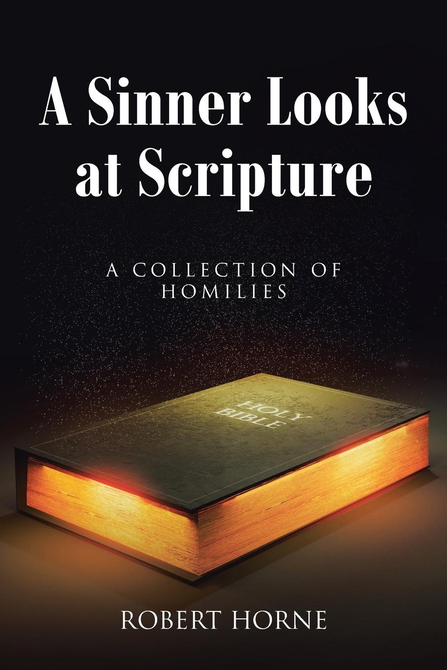 Vorderes Coverbild A Sinner Looks at Scripture