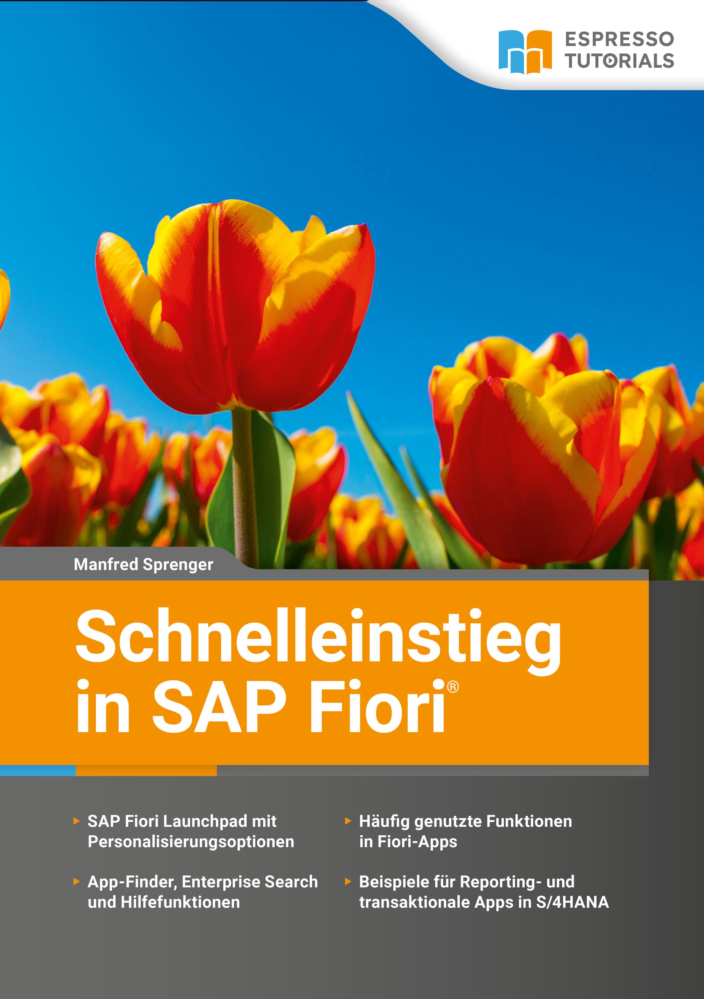 Vorderes Coverbild Schnelleinstieg in SAP Fiori