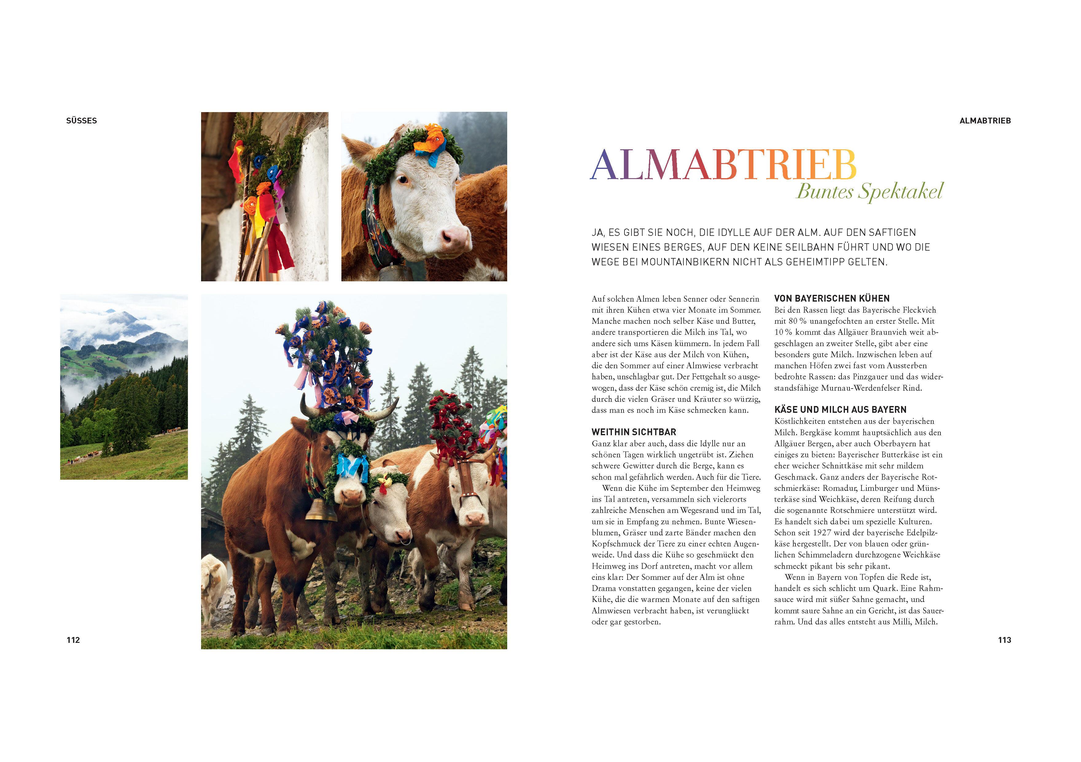 Beispielinhalt (Bild) Die bayerische Küche