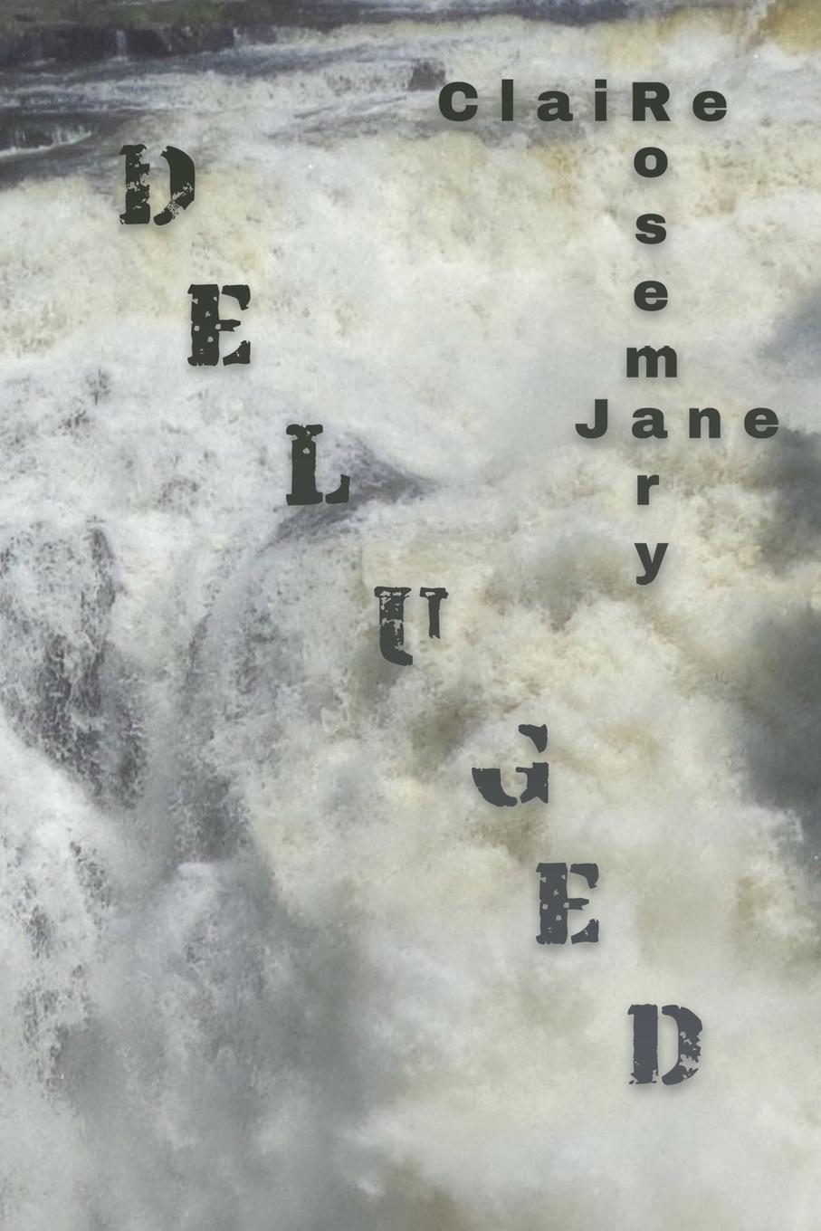 Vorderes Coverbild Deluged