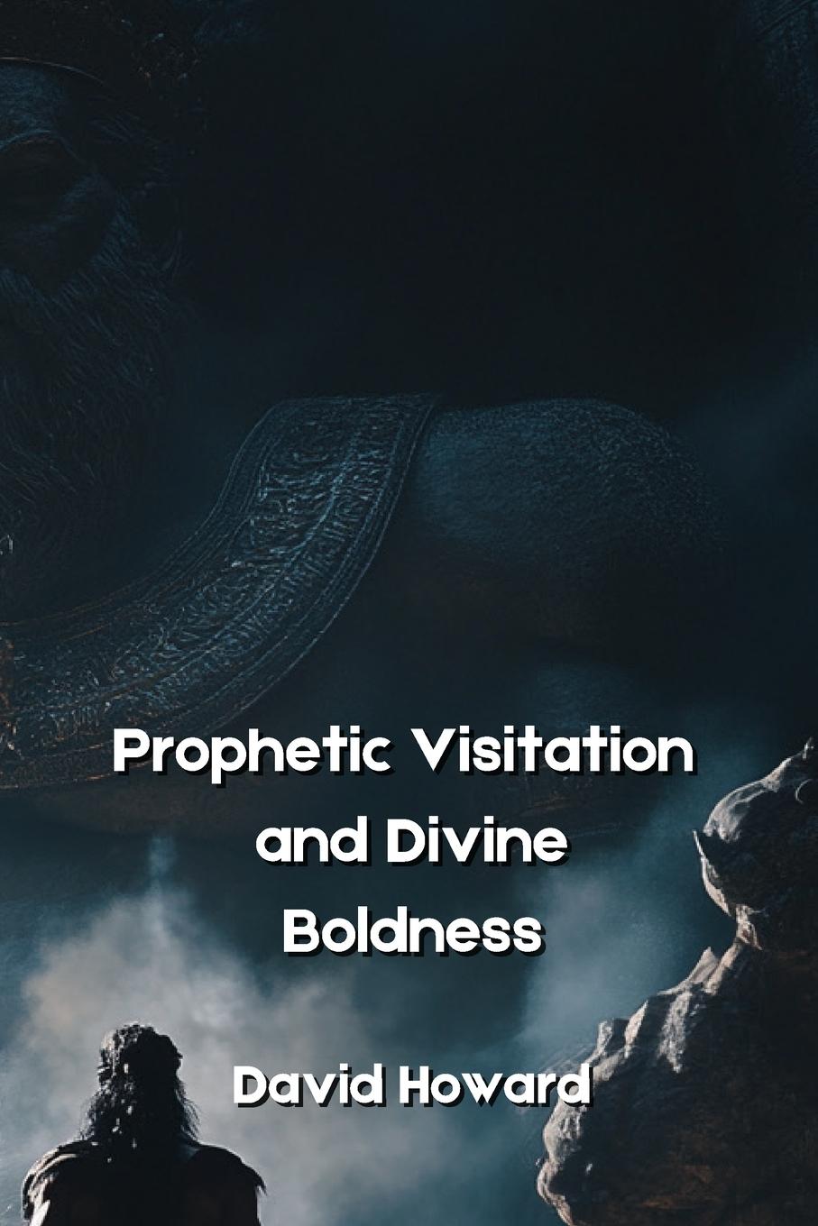 Vorderes Coverbild Prophetic Visitation and  Divine Boldness