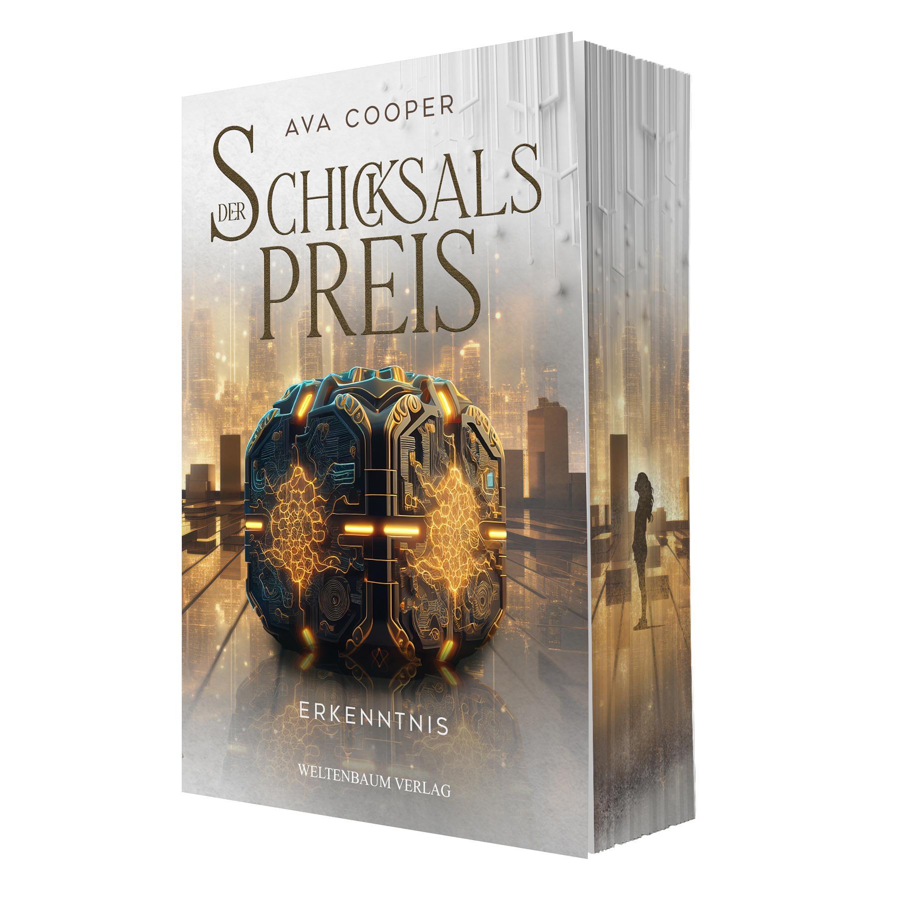 Vorderes Coverbild Der Schicksalspreis