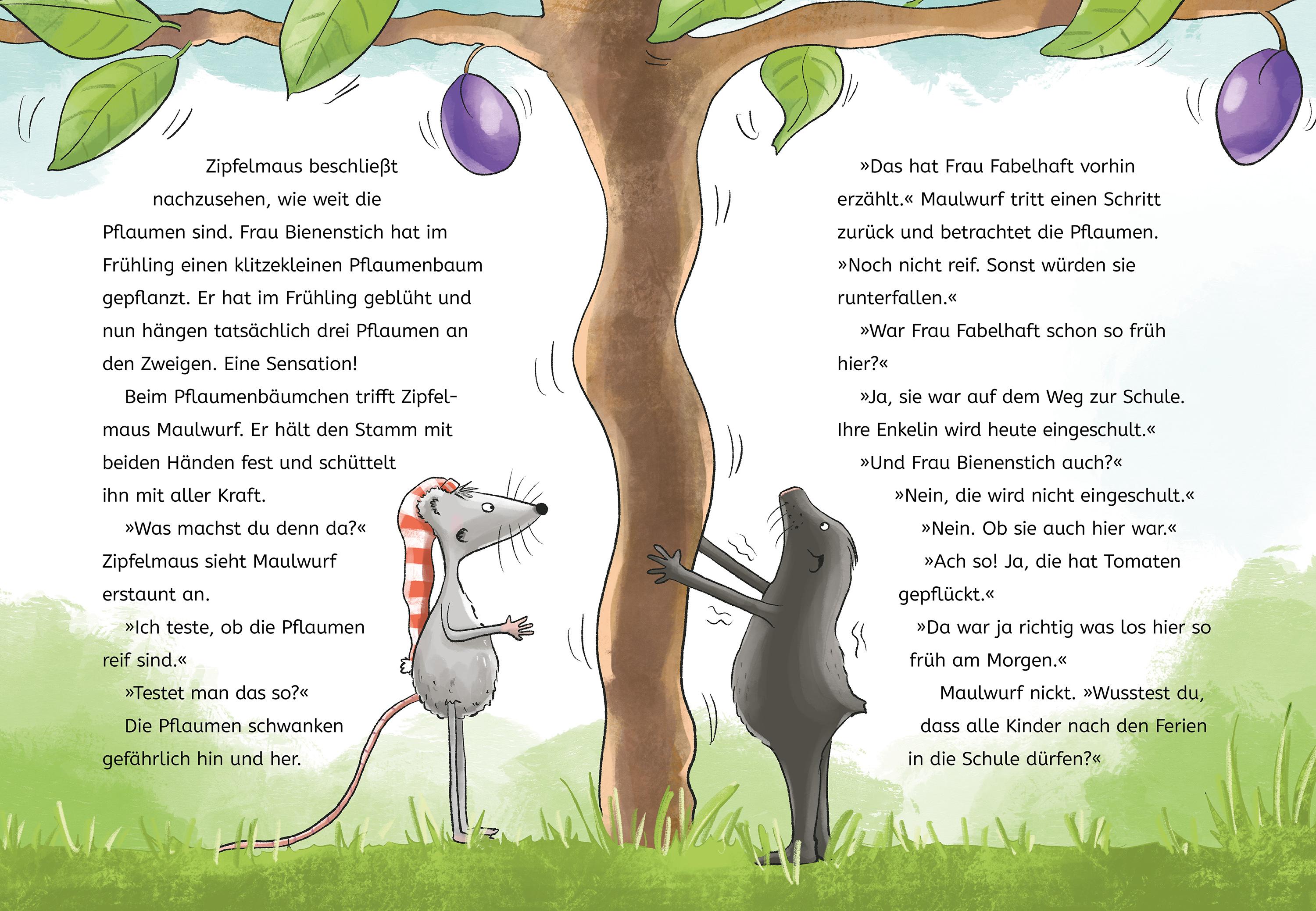 Beispielinhalt (Bild) Zipfelmaus und die grandiose Gartenschule