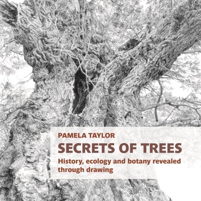 Vorderes Coverbild Secrets of Trees