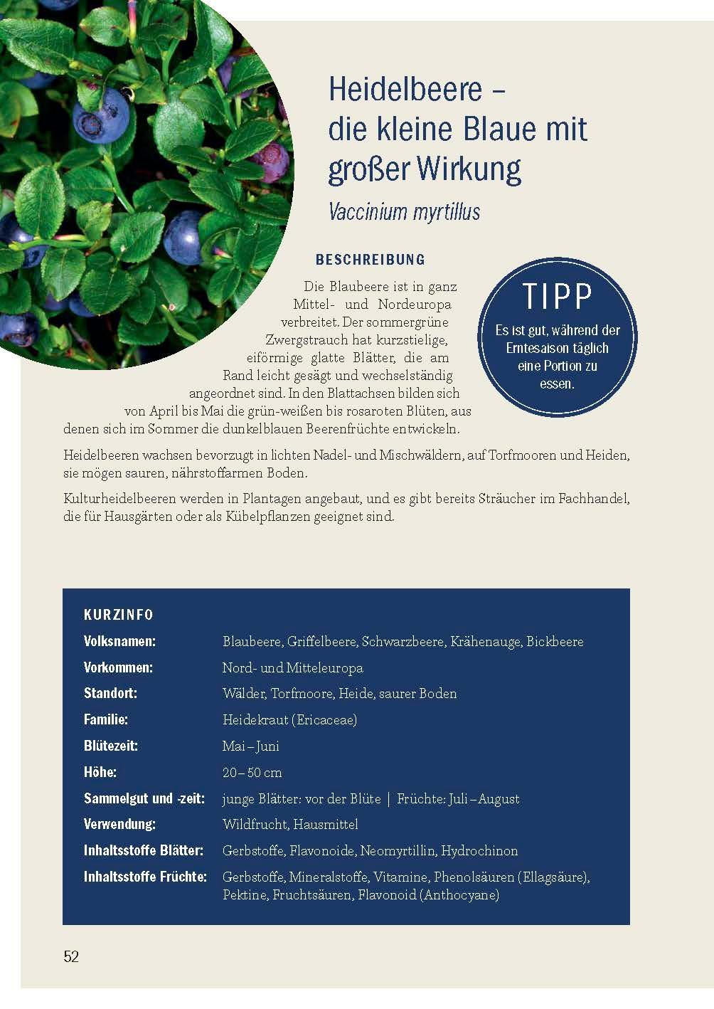 Beispielinhalt (Bild) Heimische Früchte - Rezepte-Buch für saionales & regionales Wild- und Gartenobst