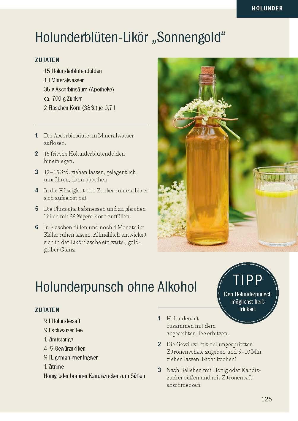 Beispielinhalt (Bild) Heimische Früchte - Rezepte-Buch für saionales & regionales Wild- und Gartenobst