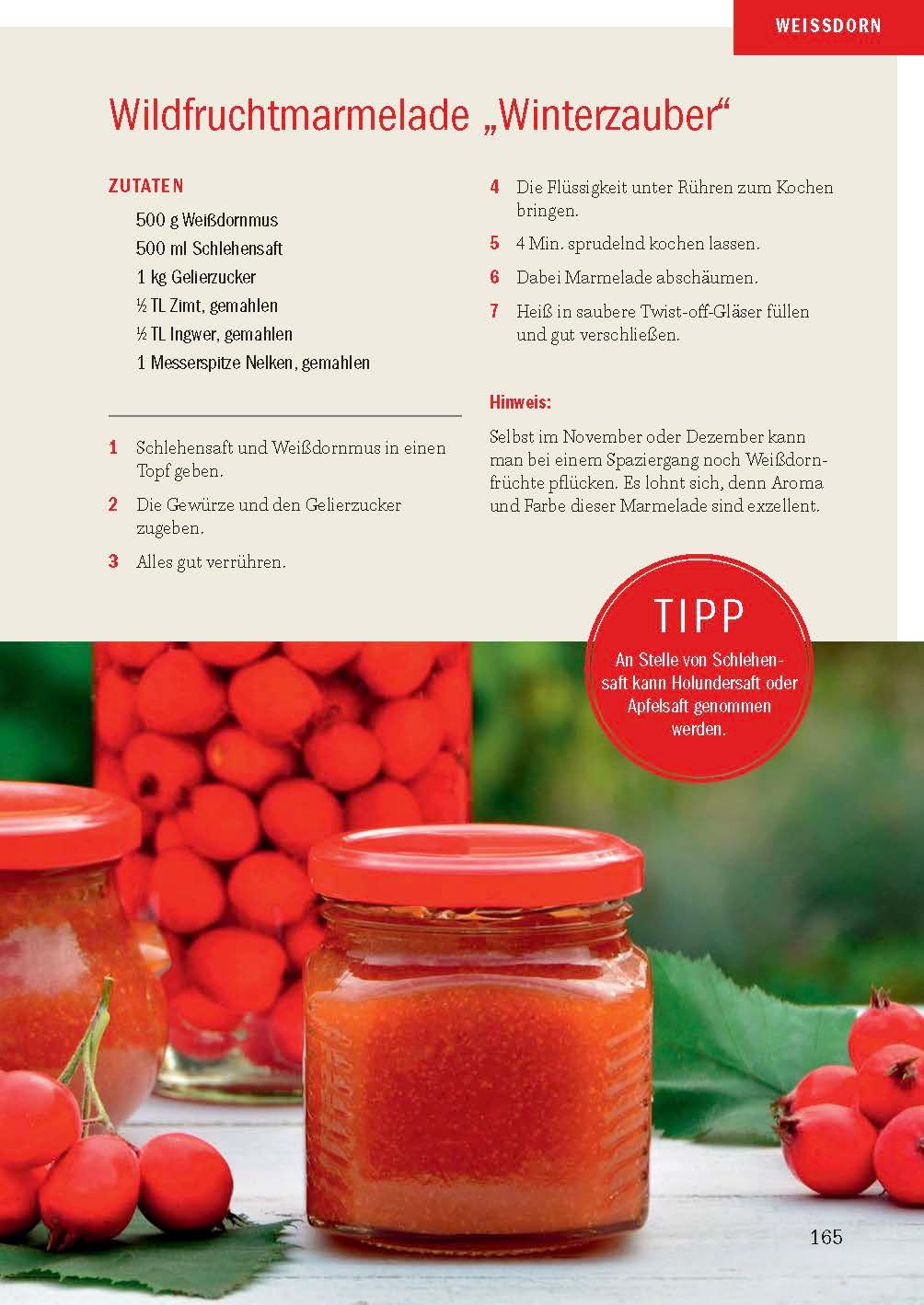 Beispielinhalt (Bild) Heimische Früchte - Rezepte-Buch für saionales & regionales Wild- und Gartenobst