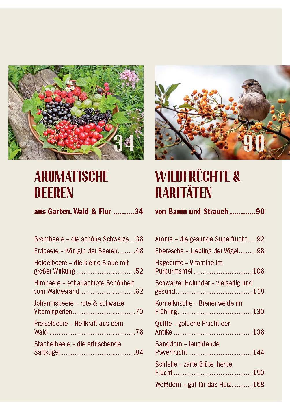 Beispielinhalt (Bild) Heimische Früchte - Rezepte-Buch für saionales & regionales Wild- und Gartenobst