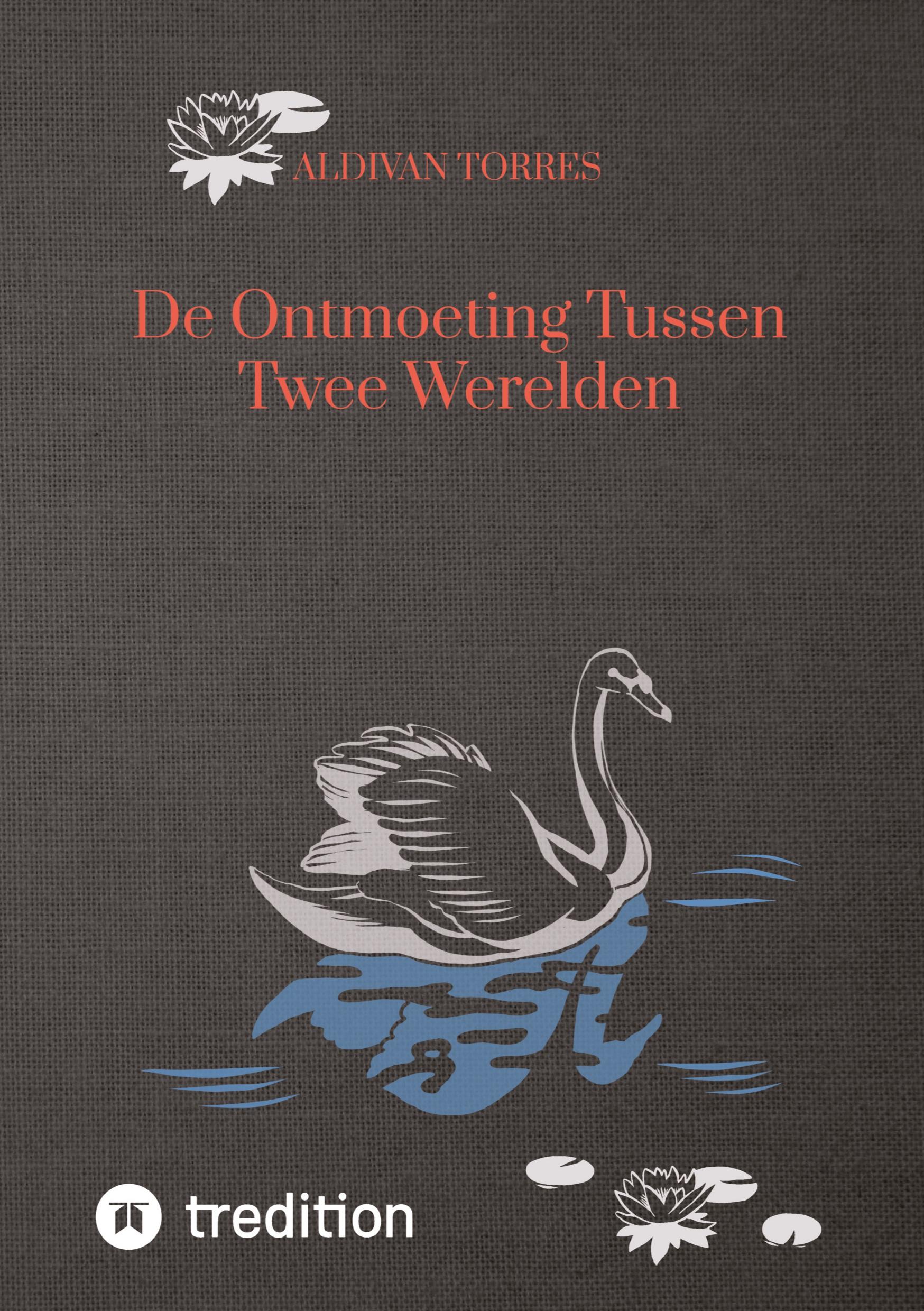 Vorderes Coverbild De Ontmoeting Tussen Twee Werelden